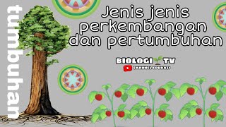 Jenis jenis pertumbuhan pada tumbuhan tanaman biologi sma materi bab kelas pertumbuhan perkembangan Jenis jenis pertumbuhan pada tumbuhan tanaman biologi sma materi bab kelas pertumbuhan perkembangan