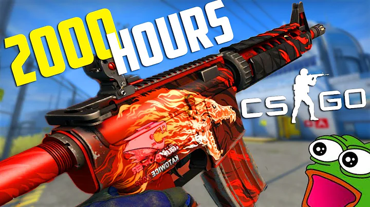 What 2000 Hours in CSGO Looks Like...