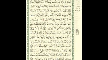 الورد اليومى.. سورة البقرة من الاية 238 الى الاية 245 بصوت القارئ الشيخ ماهر المعيقلى