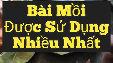 Mồi câu cá rô phi tự nhiên