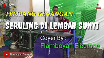 SERULING DI LEMBAH SUNYI Ernie Johan || COVER BY DHAENK ANDY || Flamboyan Electone