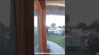 Caught in the Act  Mail Package Theft Caught on Camera!