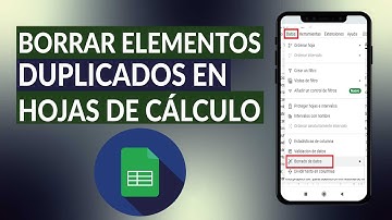 ¿Cómo borrar elementos duplicados en hojas de cálculo? - GOOGLE SHEETS