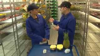 Prickly Pineapples: checking the quality
