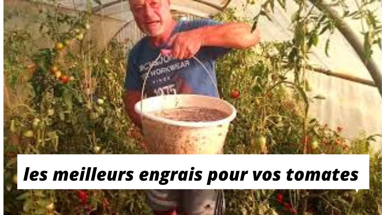 Com-four 40 Bâtonnets D'Engrais Tomates - Nutrition Longue Durée Pour Récoltes Abondantes