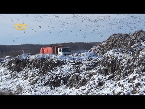 Захоронение отходов в Полетаево происходит с серьезными нарушениями