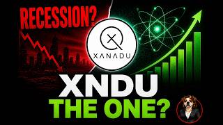 XNDU Stock Analysis: Hidden Gem During A Recession or High Risk?