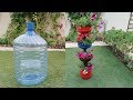 اصنع مزهرية لحديقة المنزل من البلاستيك Diy home garden Design