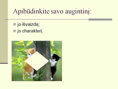 Video: Kas yra gyvūno aprašymas?