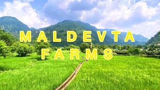 Hidden Paradise of Dehradun | Best Hidden Place of Dehradun | Maldevta Village | Dehradun by Sierra Doors 849 views 3 years ago 8 minutes, 7 seconds