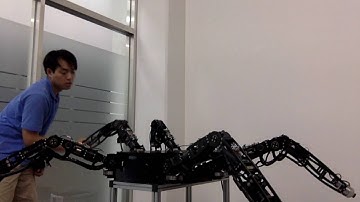 Friction and gravity compensation on high reduction joints