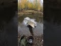 Больше не хожу на рыбалку