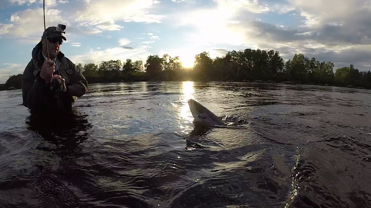 Atlantic Salmon Fishing Newfoundland July 28th, 2017 YouTube
