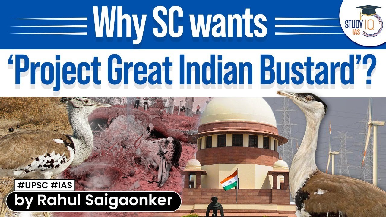 Supreme Court Questions Centre Over Possibility Of Project Great Indian Supreme Court Questions Centre Over Possibility Of Project Great Indian