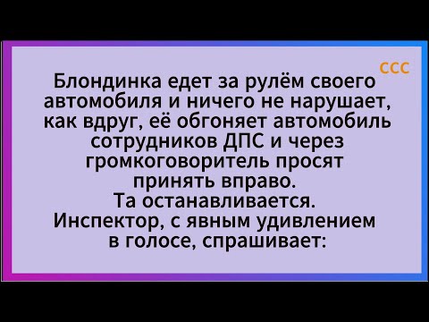 Почему номера разные? Спереди......??? Cборник анекдотов. Юмор.