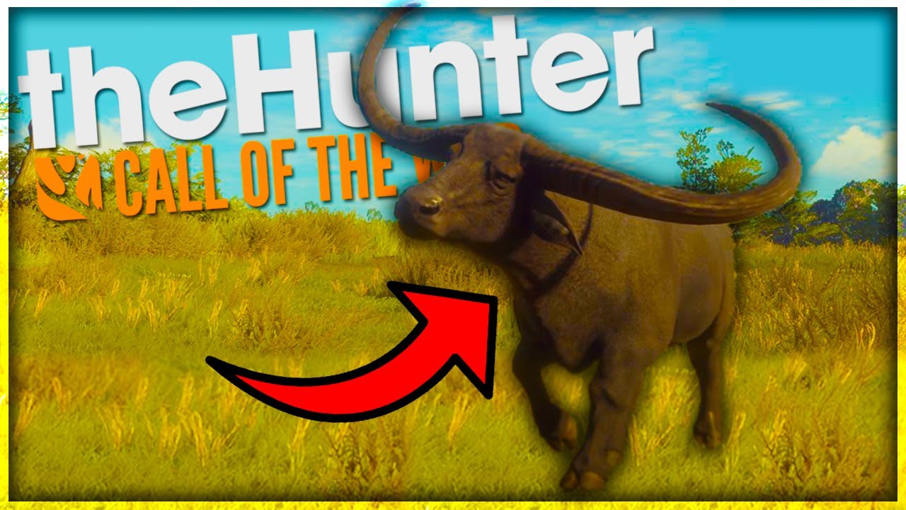 LUDI BIVOLI! DIAMOND?! The Hunter Call Of The Wild