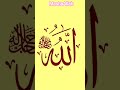 Tu Rehman Tu Rahem #shorts#status#video#islamic#youtubeshorts#viral