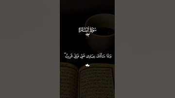 #تلاوة_خاشعة #سورة_البقرة #راحة_نفسية