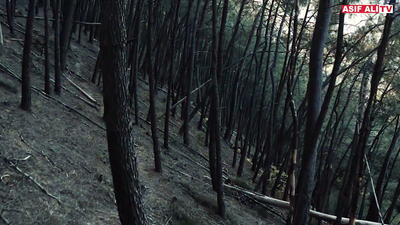 05 mysterious things found in Amazon forest