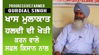 हल्दी की खेती | ਹਲਦੀ ਦੀ ਖੇਤੀ | Turmeric Cultivation- Gurdial Singh