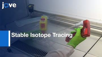 Complex Cells Metabolism Measurement by Stable Isotope Tracing | Protocol Preview