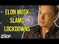 “Give People Back Their G**damn Freedom”: Tesla CEO Elon Musk Slams “Fascist” Coronavirus Stay-At-Home Orders