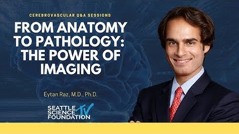 From Anatomy to Pathology:  The Power of Imaging – Eytan Raz, M.D.