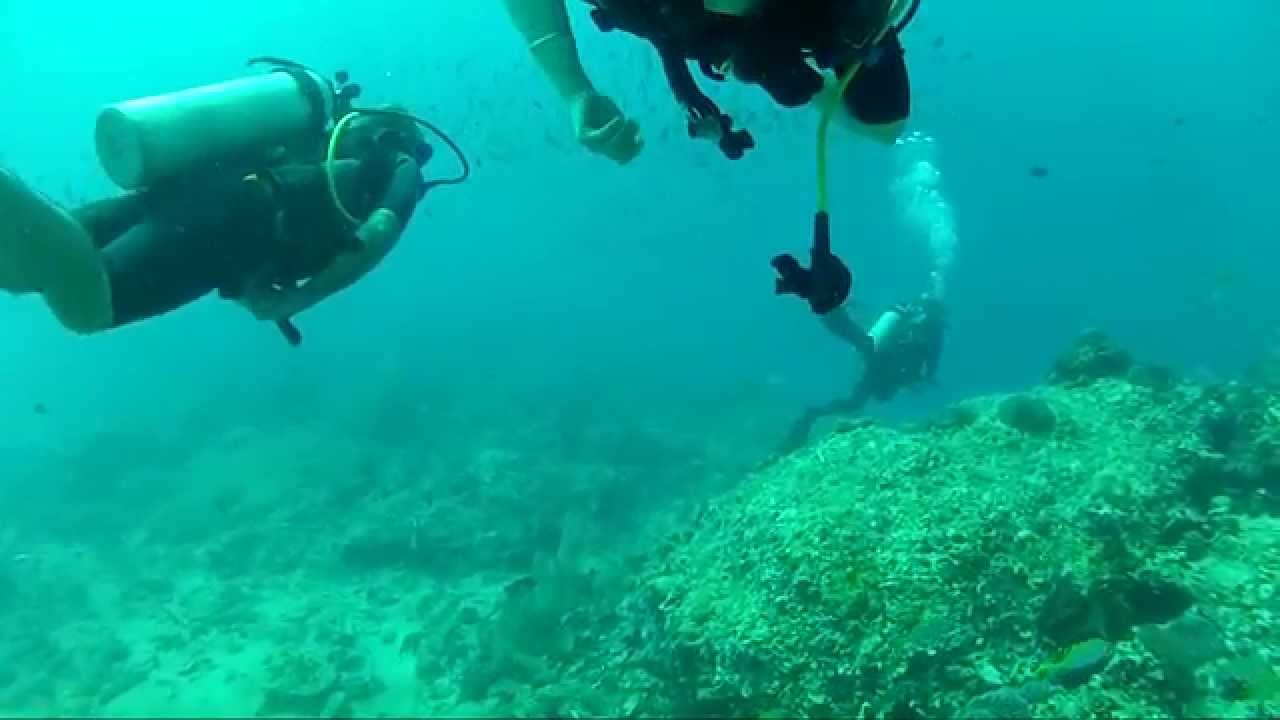Scuba Diving off Phi Phi Island Thailand - YouTube