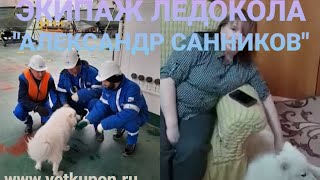 ⚡Как экипаж ледокола «Александр Санников» спас собаку #видео