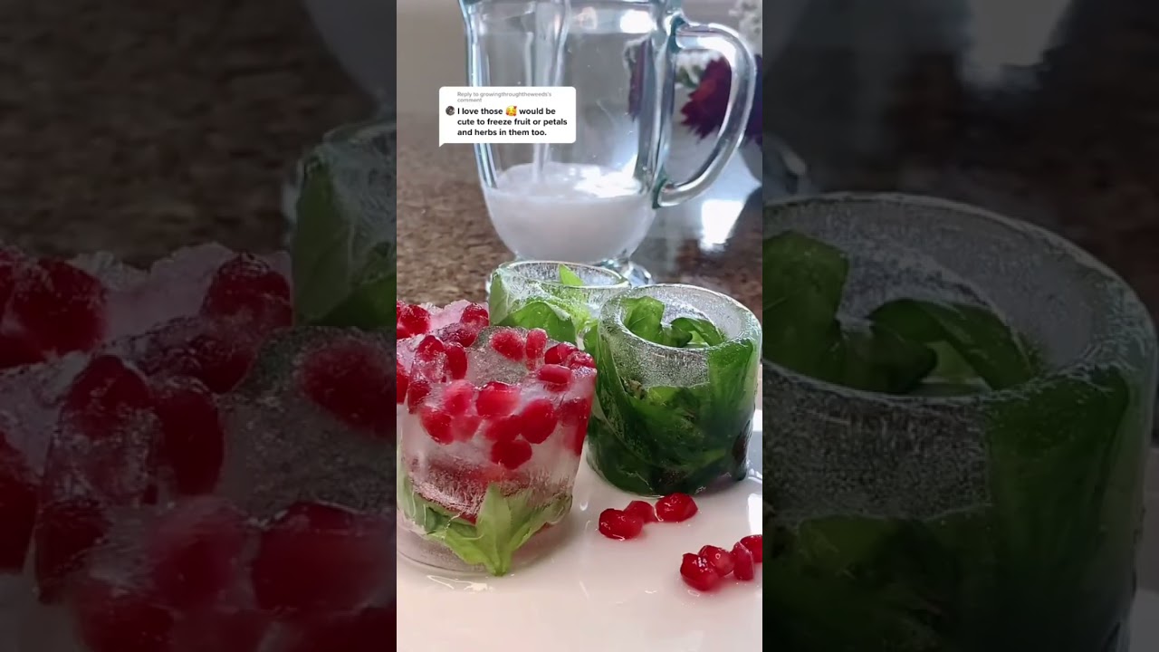 ice cups with pomegranate and basil