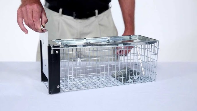 How to Set: Havahart® X-Small 2-Door Trap Model #1020 for Mice & Shrew 