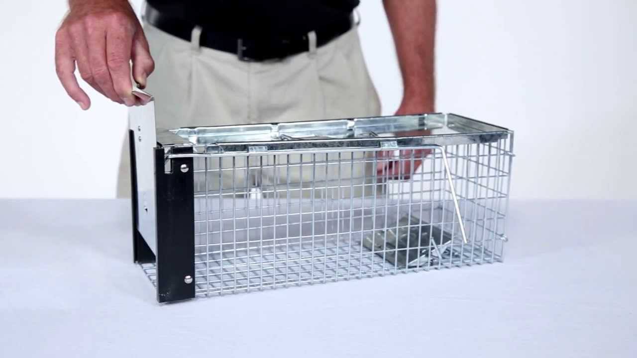 Havahart Live Catch Cage Trap For Chipmunks, Squirrels and Rats