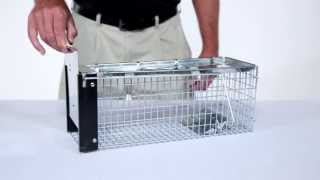 Havahart 0745 One-Door Animal Trap for Chipmunk Rat Squirrel and Weasel, 