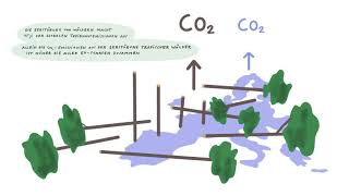 Ashoka-Fellow Andreas Eke von "The Generation Forest"