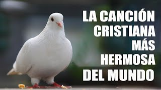 LA CANCIÓN CRISTIANA MÁS HERMOSA DEL MUNDO 2023 - CANCIONES QUE TRAEN BENDICIONES A TU CASA