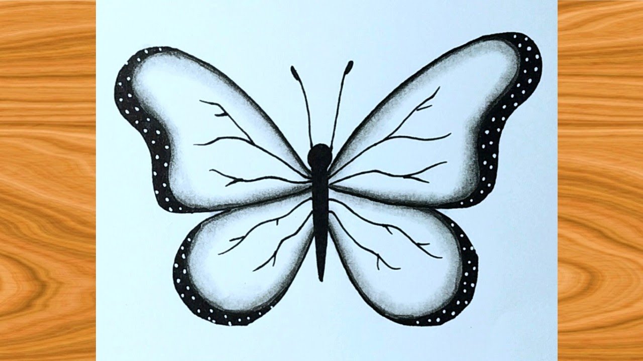 Easy and simple Butterfly Drawing - YouTube-saigonsouth.com.vn
