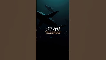 ياسري الدوسري تلاوة رائعه#القرآن_الكريم #الاردن #السعودية #ترند #اكسبلور #الجزائر #مصر