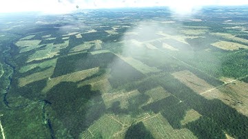 The New Brunswick Forestry Apocalypse: West New Brunswick #ecology #environment #forest