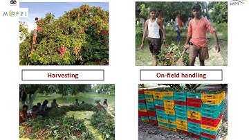 PowerPoint Presentation on Litchi RTS Processing (under PMFME Scheme) - ENGLISH