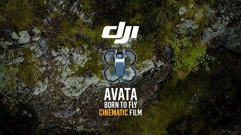 DJI AVATA - BORN TO FLY - NORDIC FOREST CINEMATIC FILM (IMMERSIVE FLIGHT EXPERIENCE)