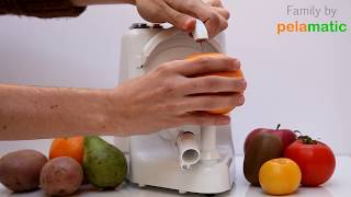 Fruit peeler electric Pro