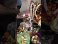 #harharmahadev MahaShivRatri ki Hardhik Subhkamnaye Har Har Mahadev 🙏🙏🙏