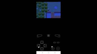 Cheat codes of Rare candy and Walk through Wall in pokemon mega emerald X and Y