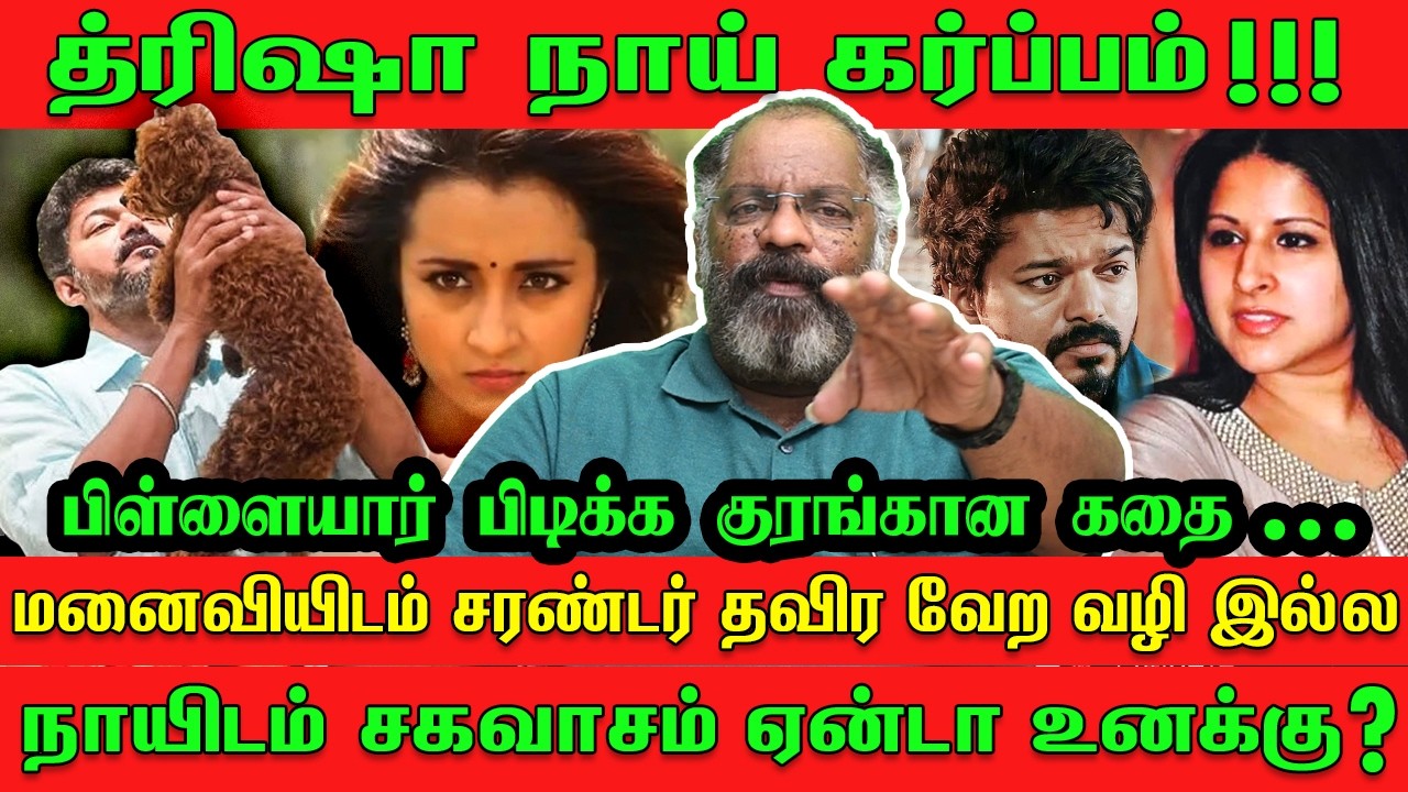 மனைவியிடம் சரண்டர் தவிர வேற வழி இல்ல !! | VIJAY | TRISHA | SANGEETHA | DIVORCE | CHEGUVERA