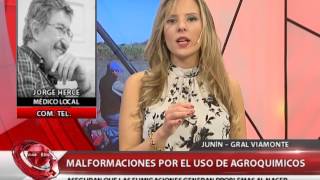 JUNIN - GENERAL VIAMONTE: MALFORMACIONES POR EL USO DE AGROQUÍMICOS