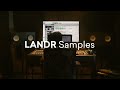 Create faster with the best sounds on landr samples free plugin