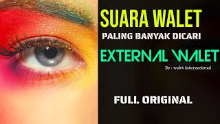 suara burung walet Paling Banyak di cari External walet Original mp3