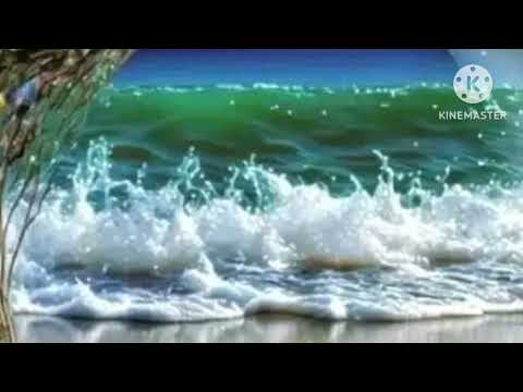 سورة الحشر بصوت غسان الشوربجي 