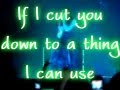 Evanescence- Lose control lyrics