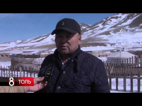 Видео: Нохойд хөхний бактерийн халдвар